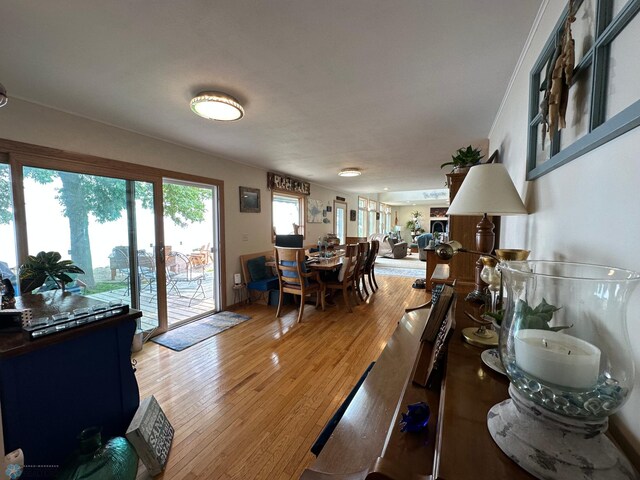 45932 375th St, Perham, MN 56573 - photo 29