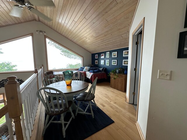 45932 375th St, Perham, MN 56573 - photo 42