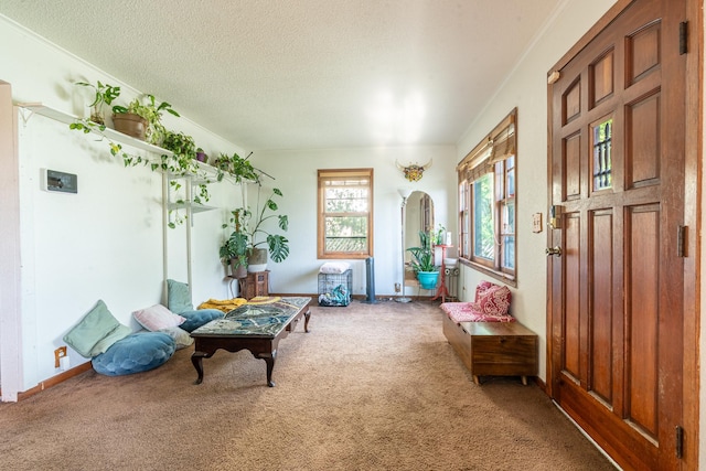 687 Jenks Ave, Saint Paul, MN 55106 - living area featuring arched walkways, carpet flooring, a textured ceiling, and baseboards