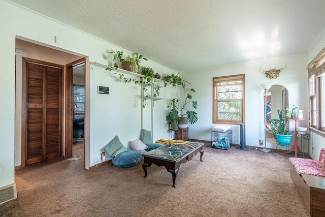 687 Jenks Ave, Saint Paul, MN 55106 - sitting room featuring plenty of natural light, arched walkways, carpet, and a textured ceiling