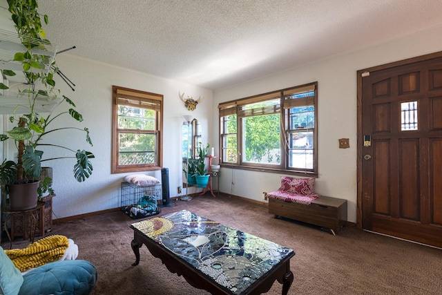 687 Jenks Ave, Saint Paul, MN 55106 - living area featuring carpet floors, a textured ceiling, and baseboards