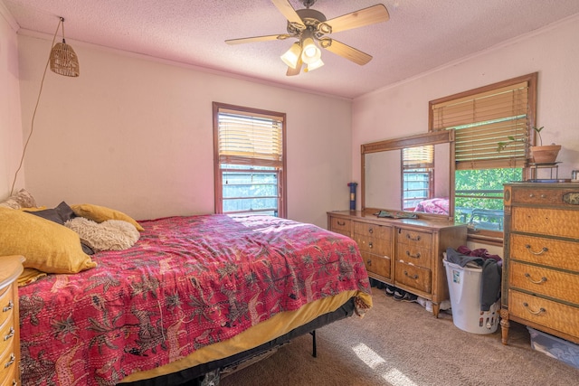 687 Jenks Ave, Saint Paul, MN 55106 - bedroom with ornamental molding, a textured ceiling, carpet floors, and ceiling fan