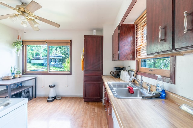 687 Jenks Ave, Saint Paul, MN 55106 - kitchen with healthy amount of natural light, light countertops, a sink, and light wood finished floors