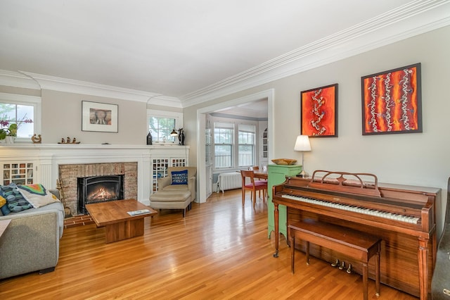 244 Macalester St, Saint Paul, MN 55105 - living area featuring radiator heating unit, ornamental molding, light wood finished floors, and a fireplace