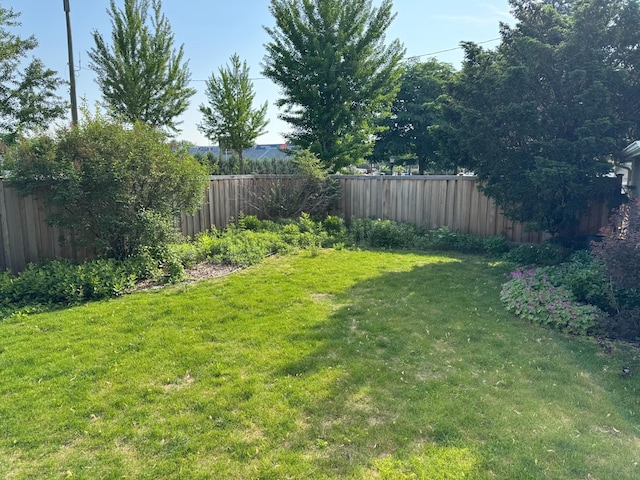 244 Macalester St, Saint Paul, MN 55105 - view of fenced backyard