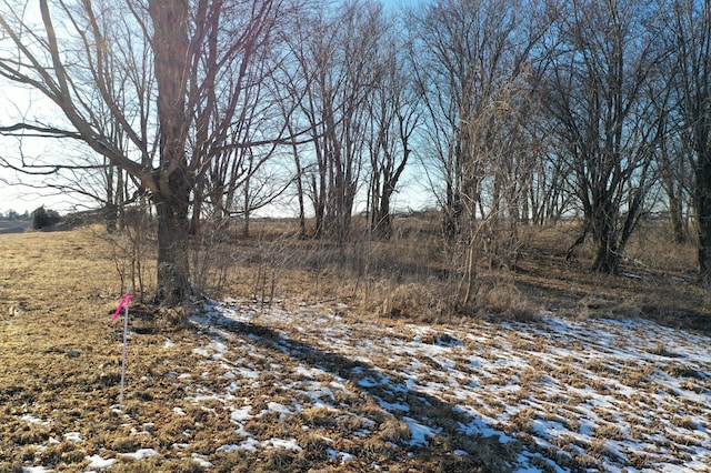 TBD County Road 27, Altura, MN 55910