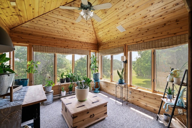 17201 Tungsten St NW, Anoka, MN 55303 - photo 8
