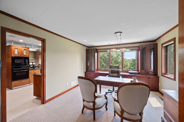 17201 Tungsten St NW, Anoka, MN 55303 - photo 10