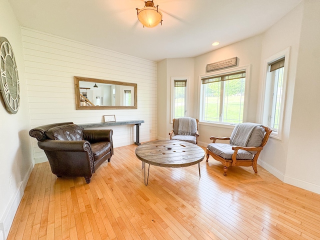 1207 Martin St, Fergus Falls, MN 56537 - living area with light wood finished floors, baseboards, and wood walls