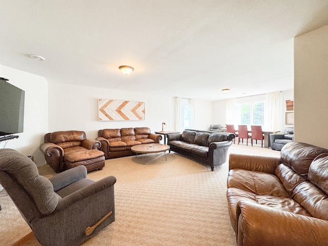 1207 Martin St, Fergus Falls, MN 56537 - living room featuring carpet floors