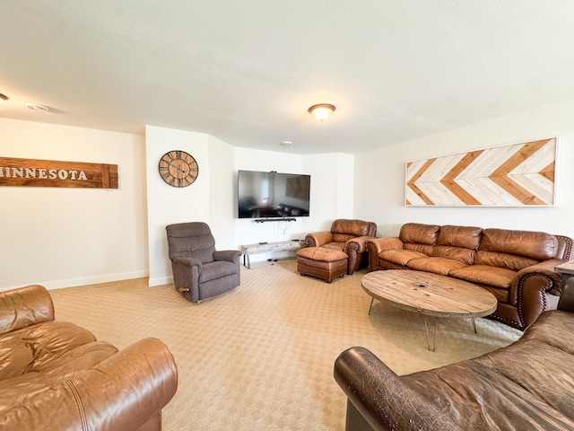 1207 Martin St, Fergus Falls, MN 56537 - carpeted living room with baseboards