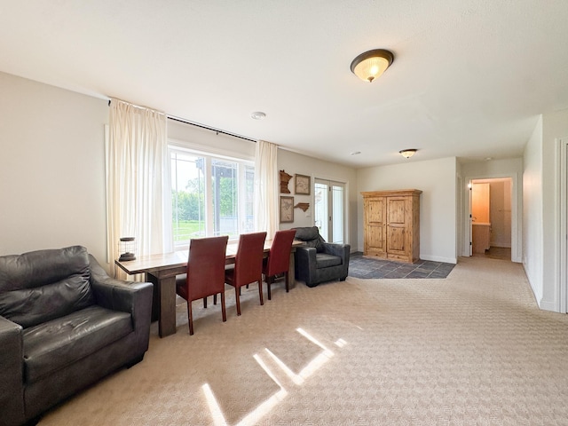 1207 Martin St, Fergus Falls, MN 56537 - living area with carpet and baseboards