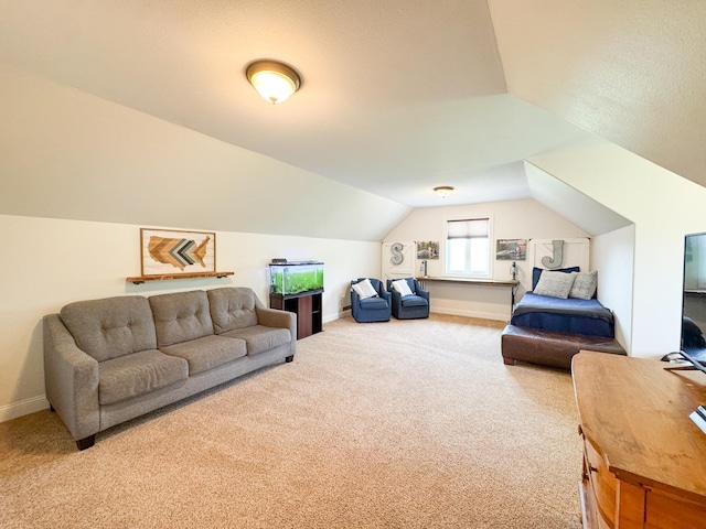 1207 Martin St, Fergus Falls, MN 56537 - living room with carpet floors, vaulted ceiling, and baseboards