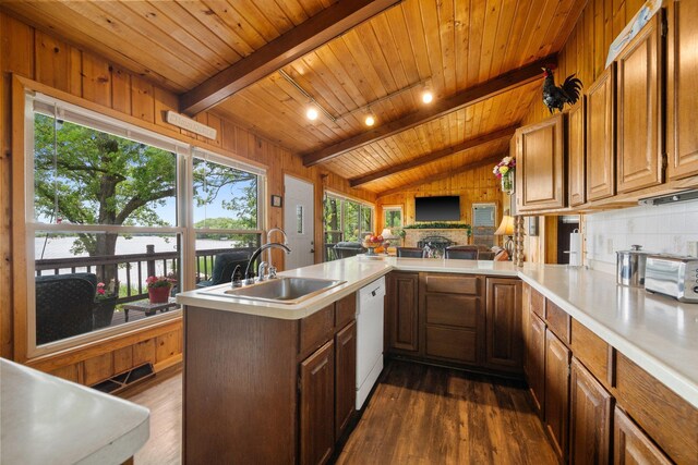 597 Emmet Rd, Lynden Twp, MN 55320 - kitchen featuring wood ceiling, dark wood finished floors, a sink, dishwasher, and light countertops
