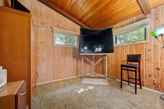 597 Emmet Rd, Lynden Twp, MN 55320 - view of stable