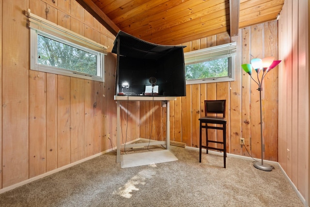 597 Emmet Rd, Lynden Twp, MN 55320 - unfurnished bedroom with multiple windows, carpet floors, wood walls, wood ceiling, and baseboards