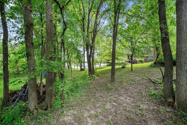 597 Emmet Rd, Lynden Twp, MN 55320 - view of nature featuring a nearby body of water