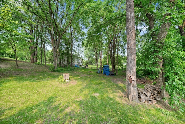 597 Emmet Rd, Lynden Twp, MN 55320 - view of grassy yard