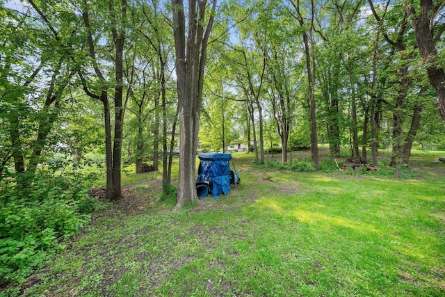 597 Emmet Rd, Lynden Twp, MN 55320 - view of green lawn