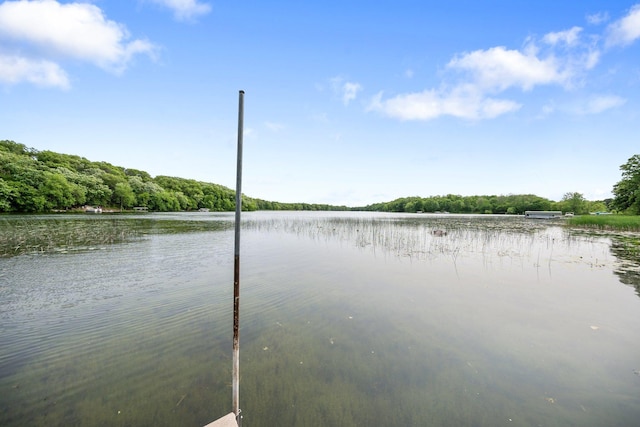 597 Emmet Rd, Lynden Twp, MN 55320 - water view featuring a forest
