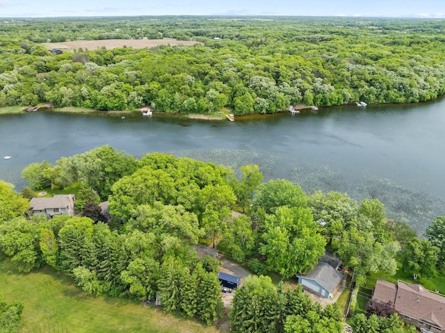 597 Emmet Rd, Lynden Twp, MN 55320 - aerial overview of property's location with a forest and a nearby body of water