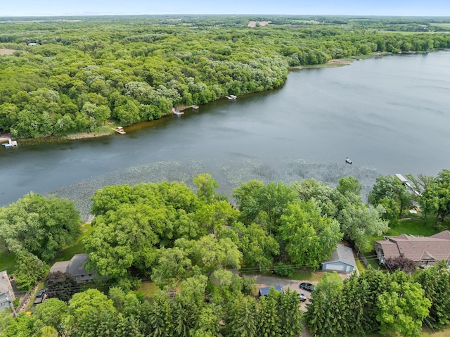 597 Emmet Rd, Lynden Twp, MN 55320 - drone / aerial view of a heavily wooded area and a nearby body of water