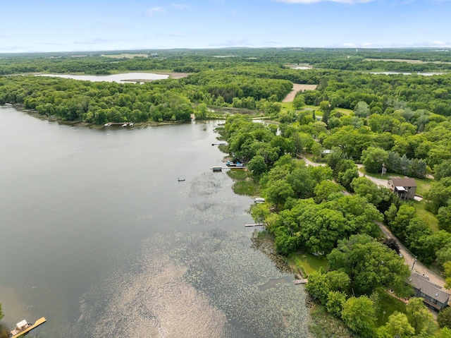 597 Emmet Rd, Lynden Twp, MN 55320 - aerial view of a large body of water and a heavily wooded area