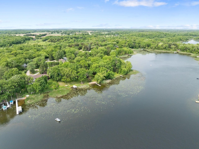 597 Emmet Rd, Lynden Twp, MN 55320 - aerial view of property's location featuring a forest and a large body of water
