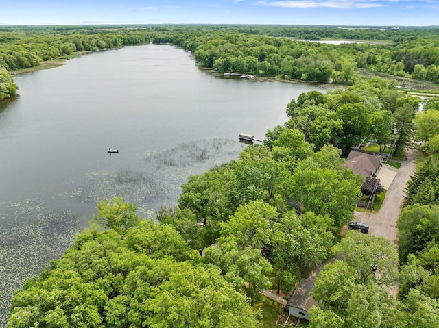 597 Emmet Rd, Lynden Twp, MN 55320 - drone / aerial view of a nearby body of water and a heavily wooded area