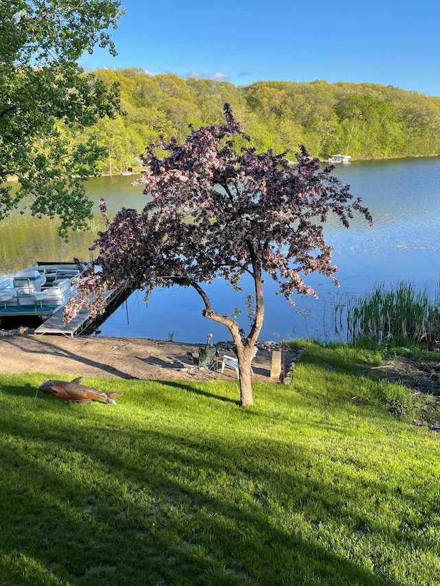 597 Emmet Rd, Lynden Twp, MN 55320 - water view with a heavily wooded area