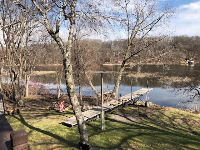 597 Emmet Rd, Lynden Twp, MN 55320 - dock with a water view