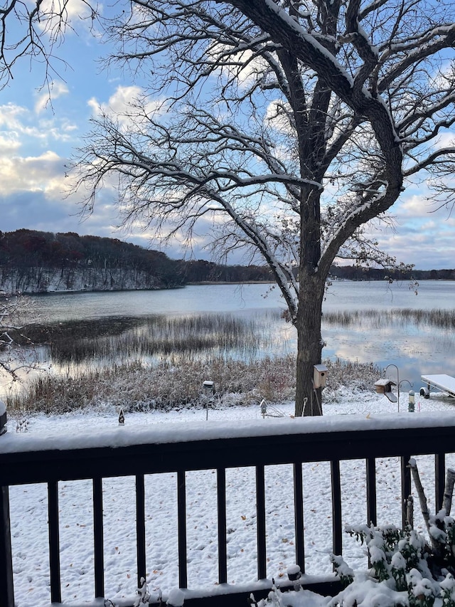 597 Emmet Rd, Lynden Twp, MN 55320 - water view