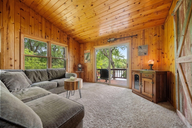 597 Emmet Rd, Lynden Twp, MN 55320 - carpeted living room featuring wooden walls and wood ceiling