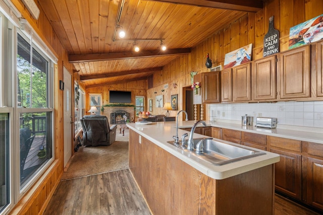 597 Emmet Rd, Lynden Twp, MN 55320 - kitchen featuring wood ceiling, a sink, track lighting, a fireplace, and dark wood-style floors