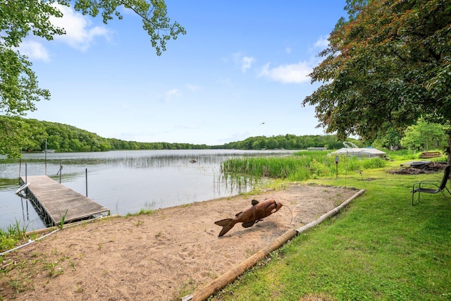 597 Emmet Rd, Lynden Twp, MN 55320 - dock with a water view and a forest view