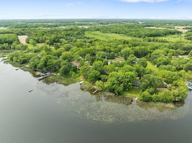 597 Emmet Rd, Lynden Twp, MN 55320 - aerial view of a nearby body of water