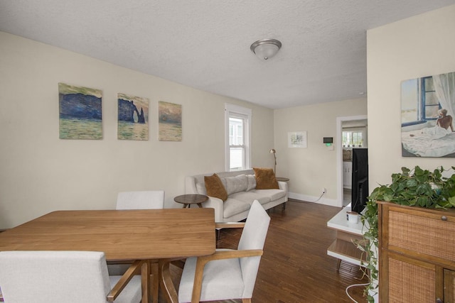 915 Cottage Ave E, Saint Paul, MN 55106 - dining room featuring wood finished floors, plenty of natural light, baseboards, and a textured ceiling