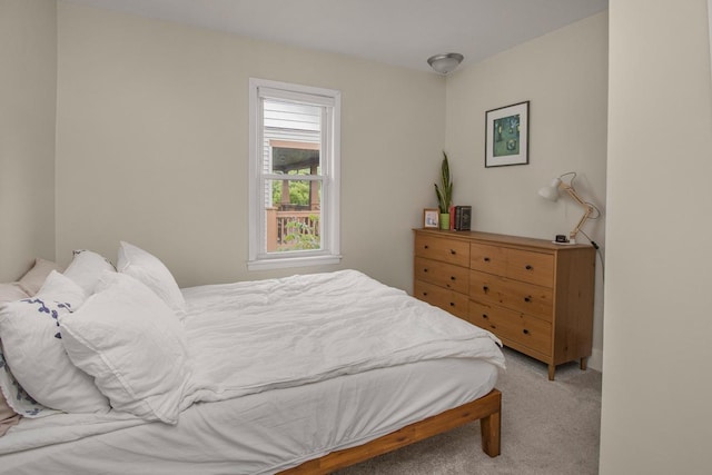 915 Cottage Ave E, Saint Paul, MN 55106 - view of carpeted bedroom