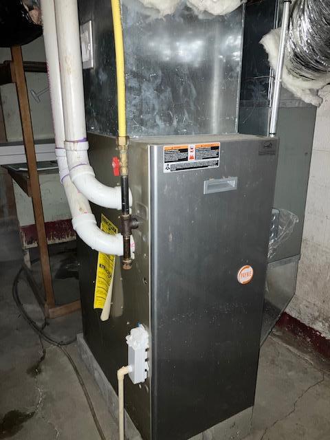 607 3rd St SW, Waseca, MN 56093 - utility room with heating unit