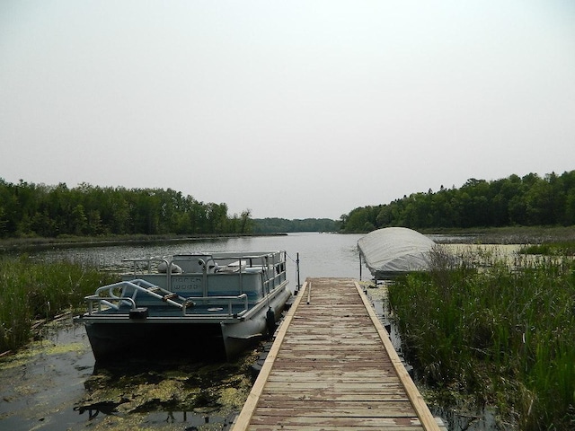 3749 Grizzly Ln, Barnum Twp, MN 55707 - dock with a water view and a wooded view