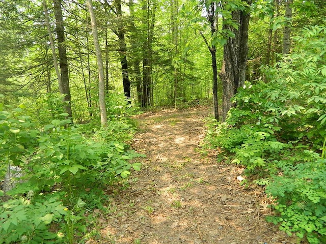 3749 Grizzly Ln, Barnum Twp, MN 55707 - view of wooded area