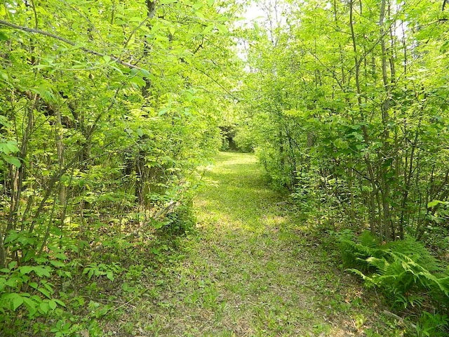 3749 Grizzly Ln, Barnum Twp, MN 55707 - view of woods