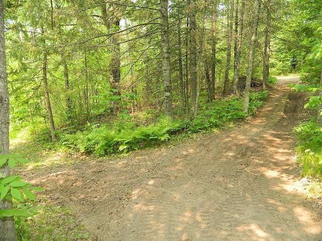 3749 Grizzly Ln, Barnum Twp, MN 55707 - view of tree filled area