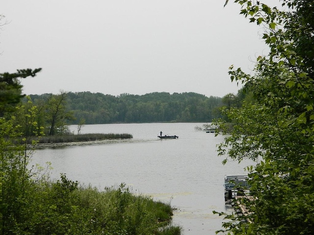 3749 Grizzly Ln, Barnum Twp, MN 55707 - water view with a heavily wooded area