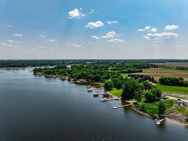 3832 Norris Ave NW, French Lake Twp, MN 55302 - bird's eye view of a nearby body of water