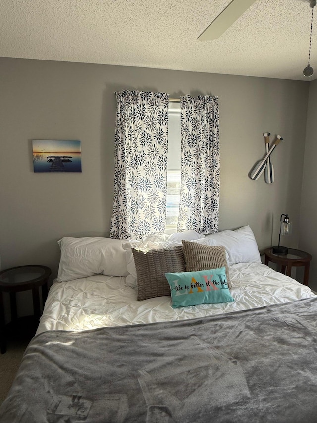 3832 Norris Ave NW, French Lake Twp, MN 55302 - bedroom with a textured ceiling