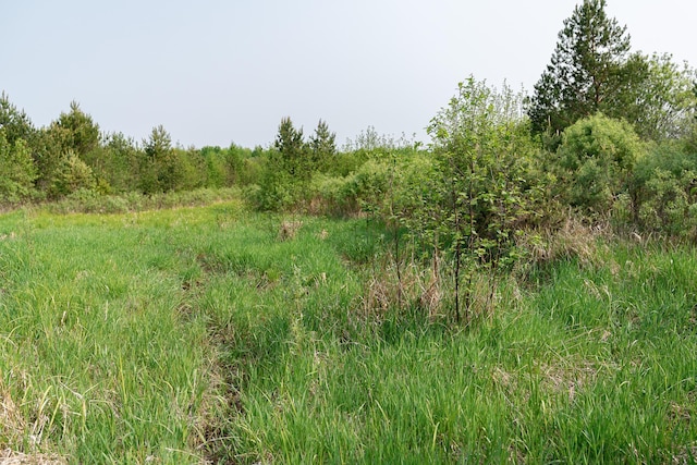 TBD-106AC County Rd 4, Silver Brook Twp, MN 55797