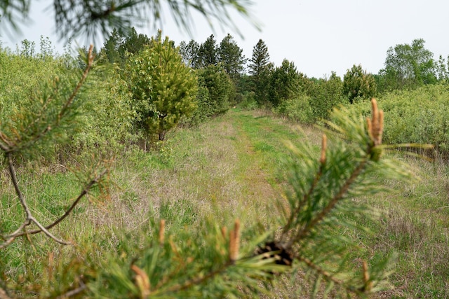TBD-106AC County Rd 4, Silver Brook Twp, MN 55797