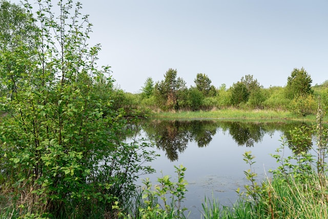 TBD-106AC County Rd 4, Silver Brook Twp, MN 55797