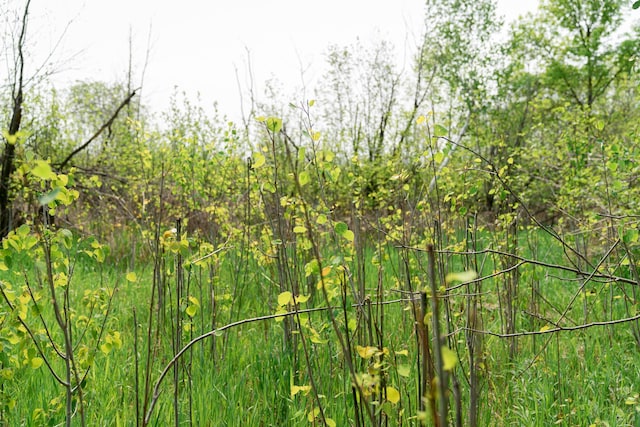 TBD-106AC County Rd 4, Silver Brook Twp, MN 55797